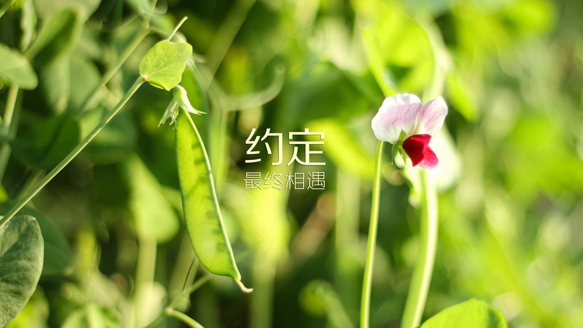 九游网页版官网-_精准射箭比赛：挥弓之间的专注力量_，射箭很准