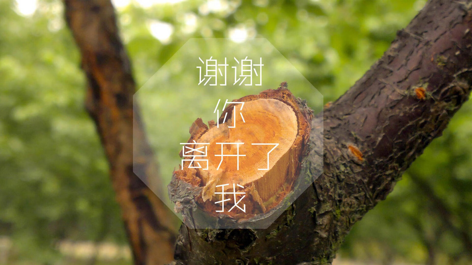 中国篮球青训营创新人才培养模式，中国国家篮球青训选拔