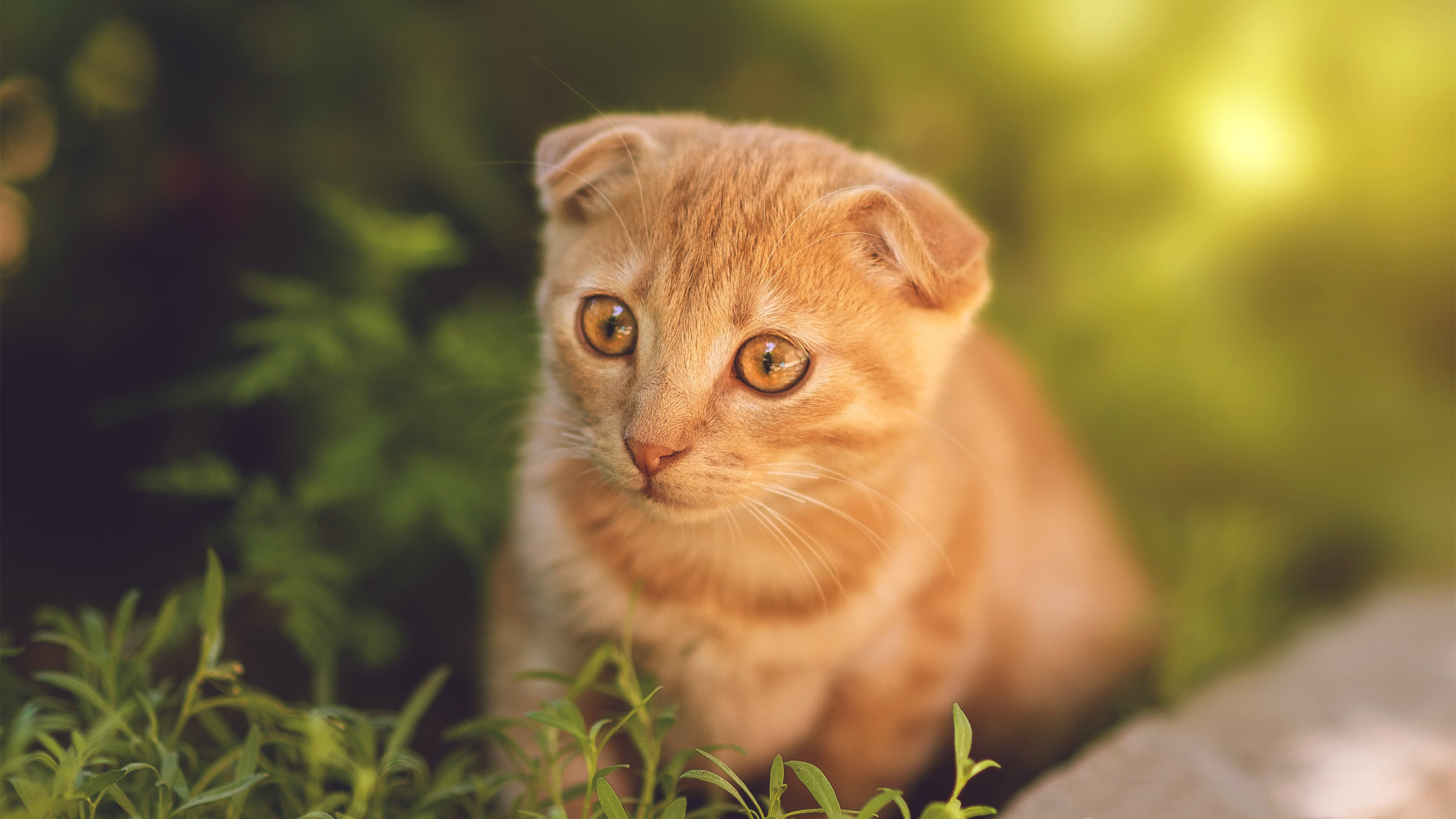 NBA球员心理调节方法,nba球员心理调节方法有哪些