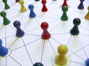 九游网-中国篮球青训教练员能力提升路径，篮球青训师的待遇怎么样