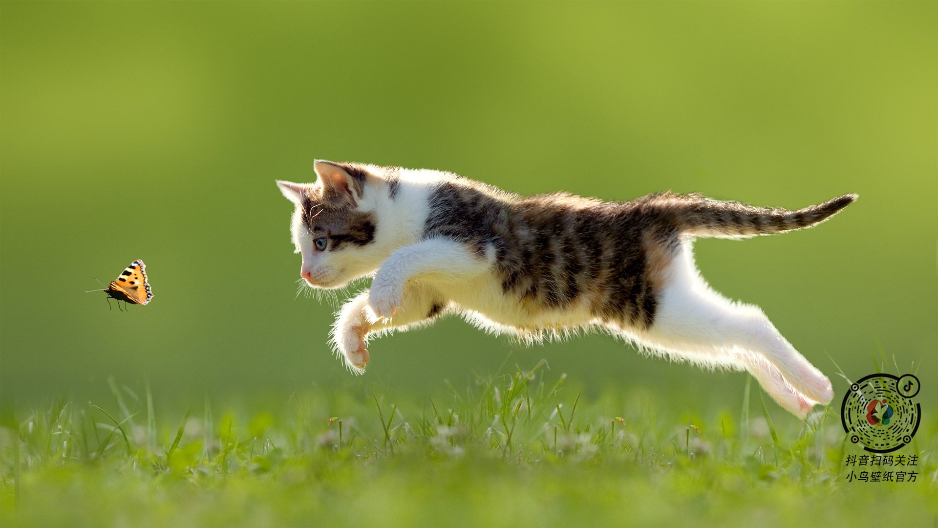 五大联赛分析：本季球队表现详解，五大联赛2021赛季