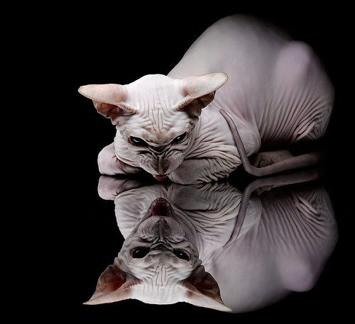 Jiu You-全民健身设施共建共享机制运行现状调研，全民健身共享健康