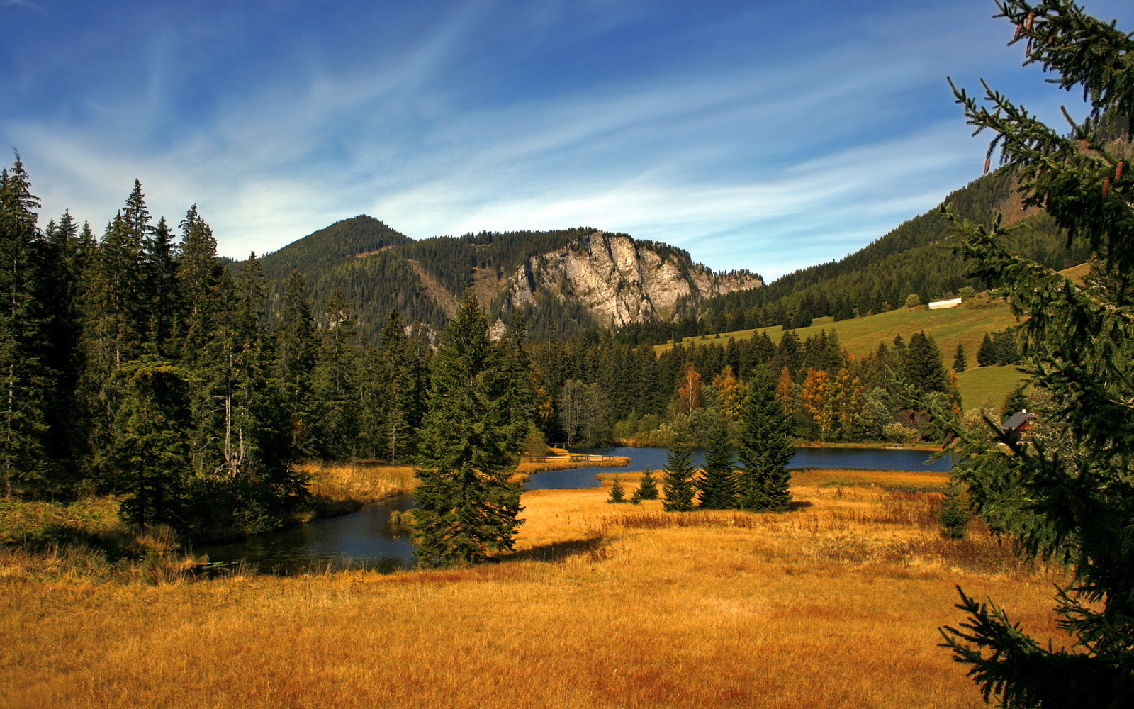 斗志永不熄:球队队魂的故事感动无数球迷,有斗志的队名和口号