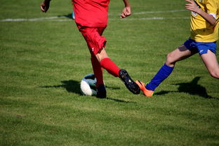 Jiu You-篮球训练计划科学制定与执行效果评估，篮球训练计划制定与范例