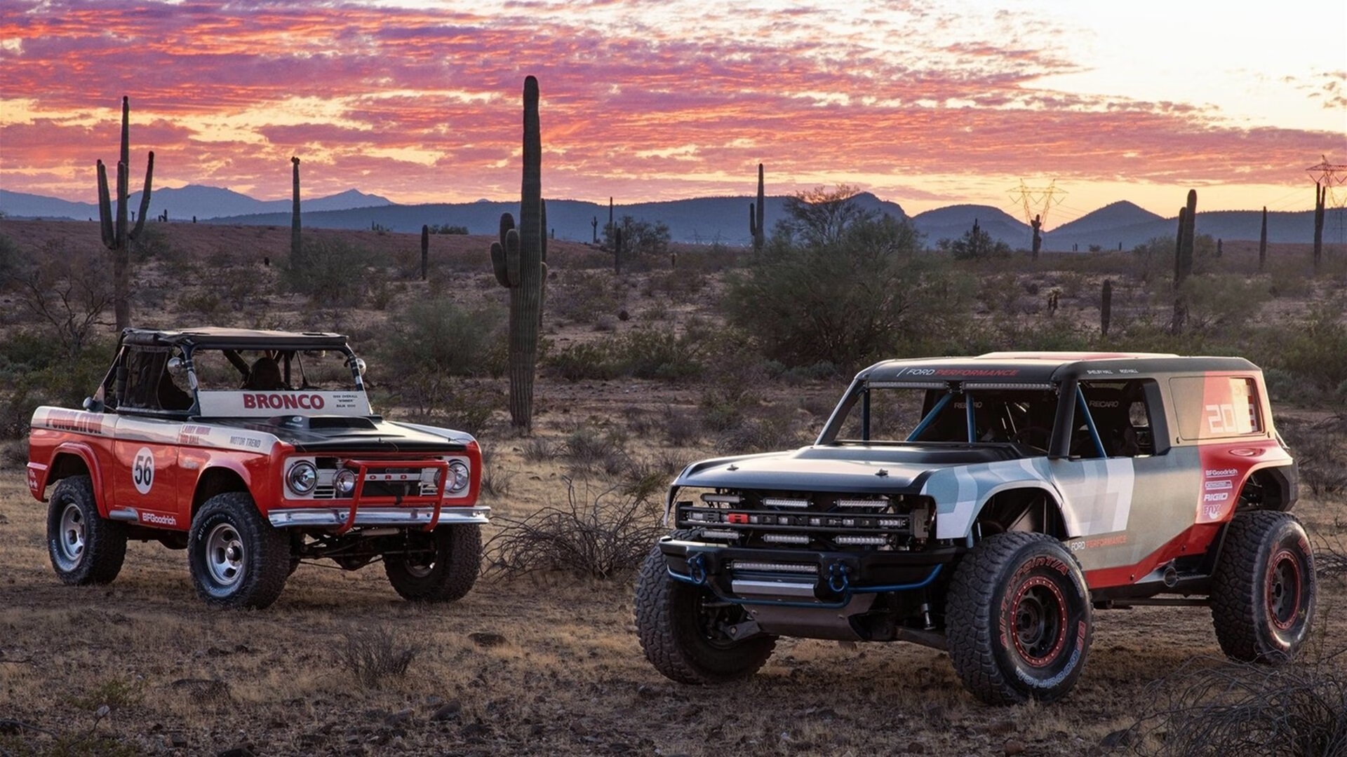 高校运动训练负荷调控研究,高校运动项目的训练设置