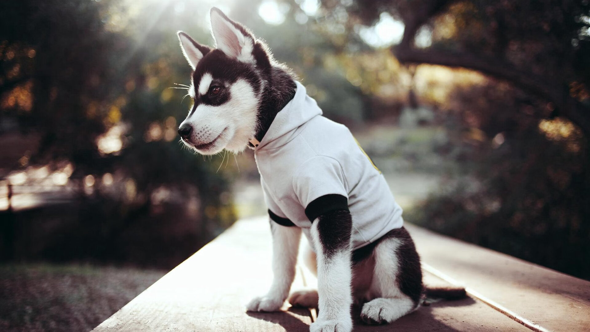 “沙滩合球初露锋芒，天府新区带来新潮运动”