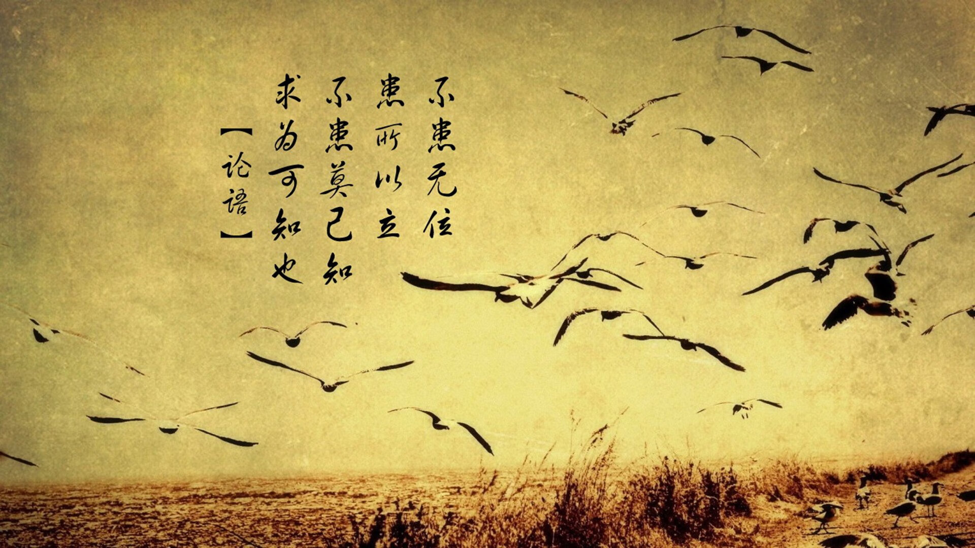 中国男篮保持阵容稳定提升默契水平，中国男篮阵容有哪些