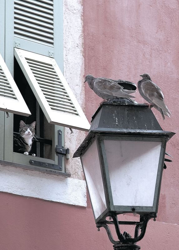 -中超联赛中国女足晋级 球迷支持球队努力，中超女足联赛2021