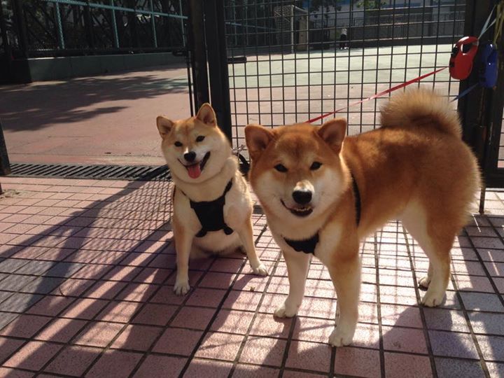 九游娱乐官网 (jiuyou)-中超联赛国家队爆冷 球迷分析战术失误，中超联赛足球队