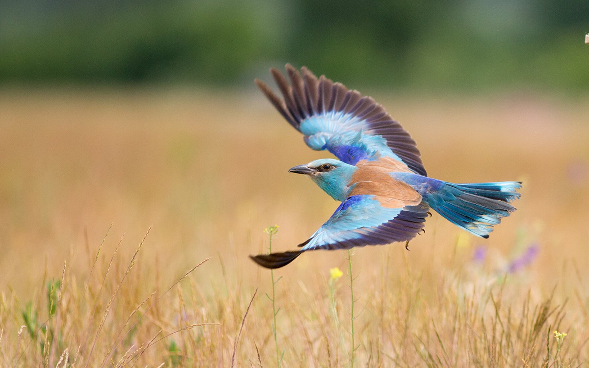 九游-强弱对抗中控球率是否决定进攻效率，强弱对抗中控球率是否决定进攻效率呢