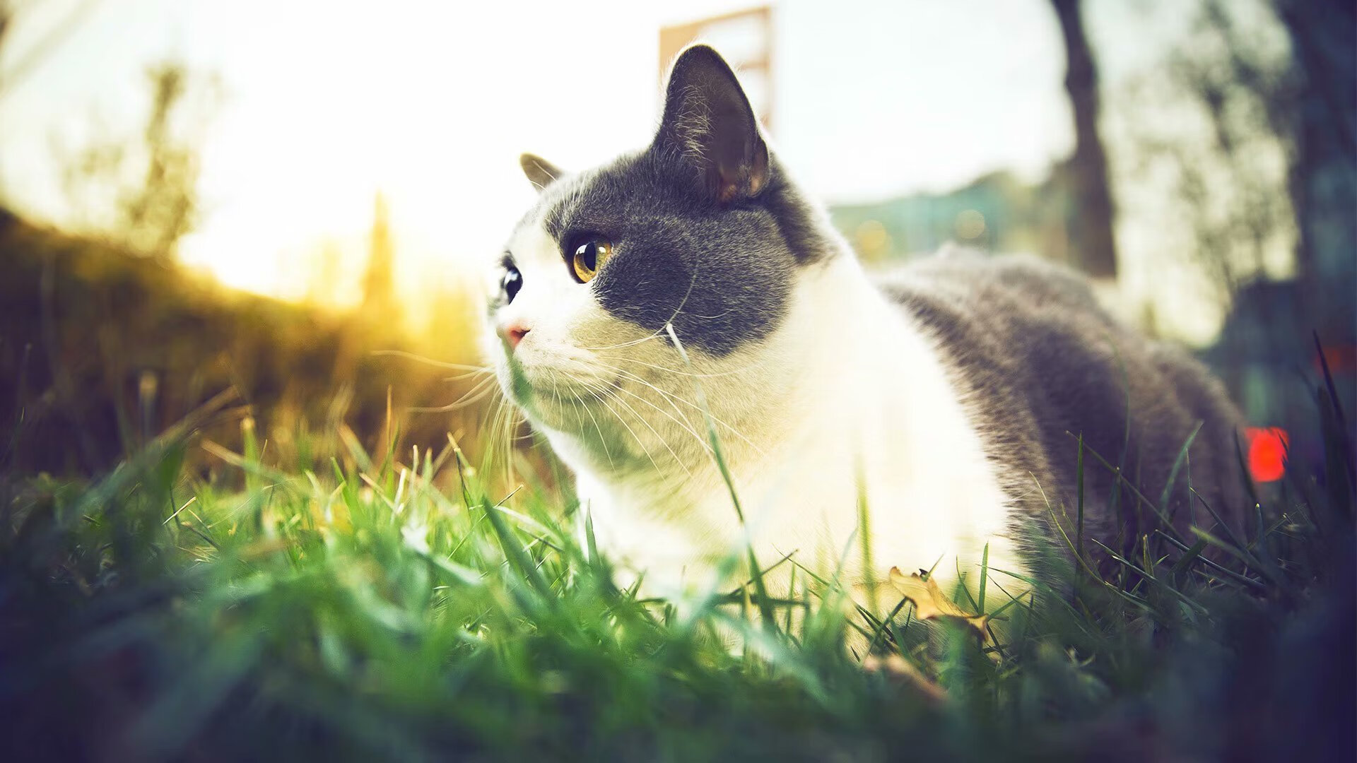 九游官网pc-湖滨赛场，城市活力“新引擎”