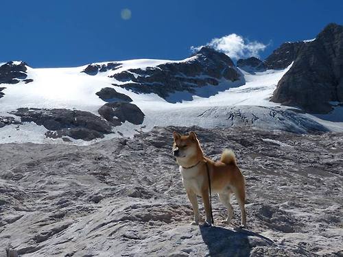 九游娱乐(jiuyou)官方网站-“马科斯·莫奇的灵活防守与精准传球，助力阿根廷美洲狮队更具攻击性”