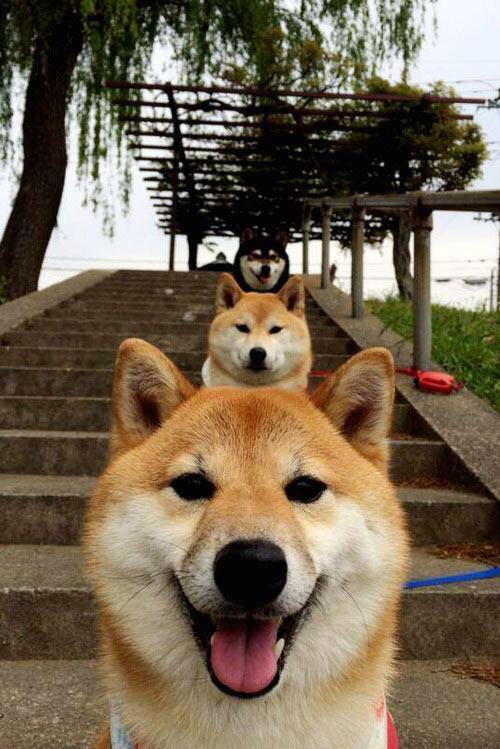 九游网游官网-凯琳·科贝特赛后感谢教练团队支持，凯洛琳贝塞特