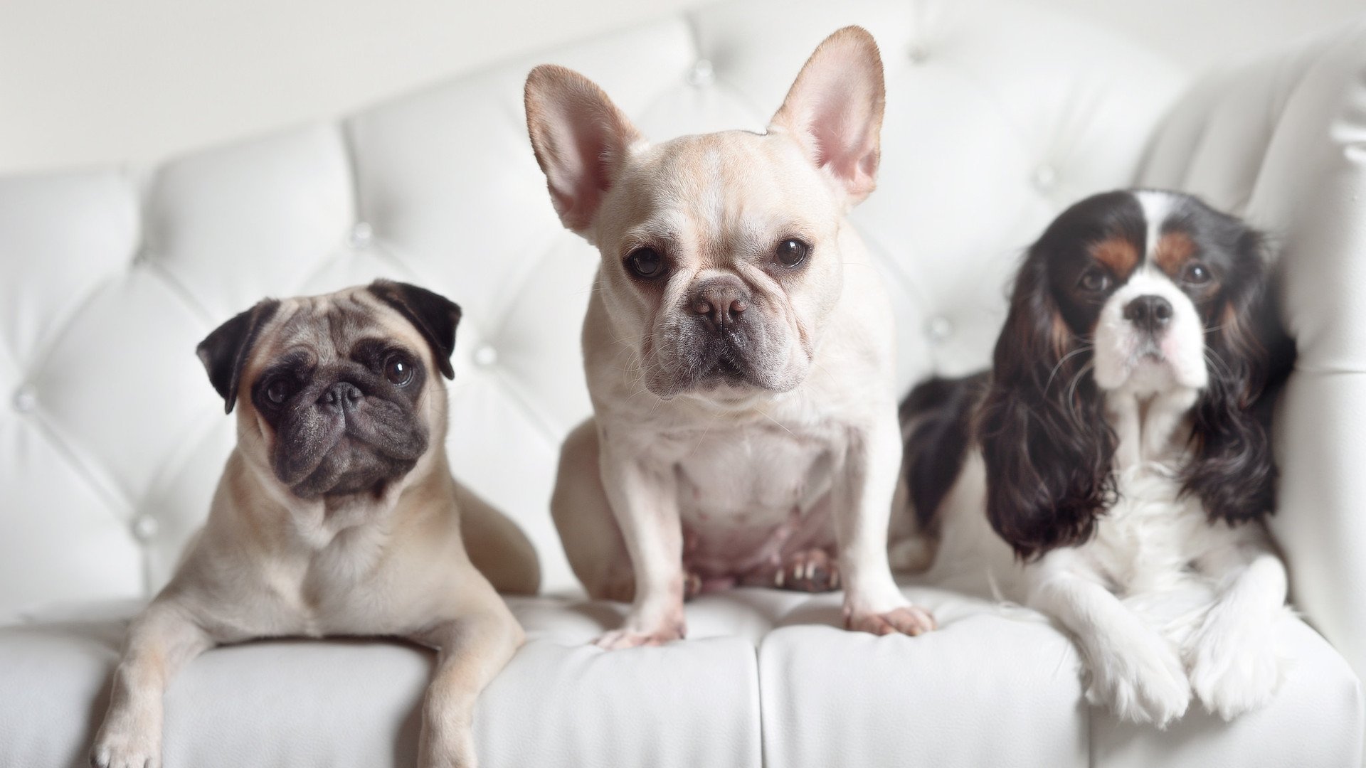 九游登录入口-国家队使用可视化战术演示系统提升理解执行效率