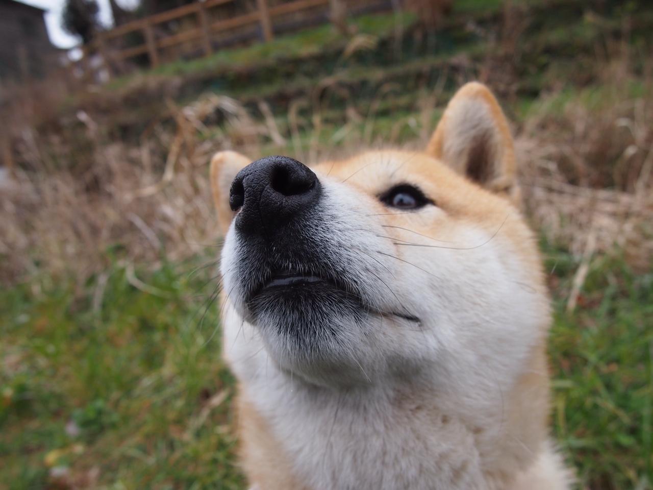 -塞维利亚强势崛起，争夺西甲前列位置