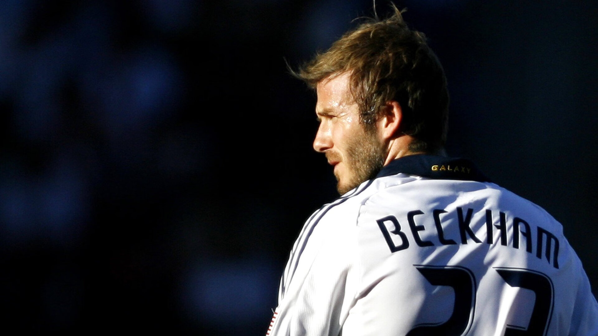 新闻中心发布公众健身月公益课程时间安排，公益健身馆