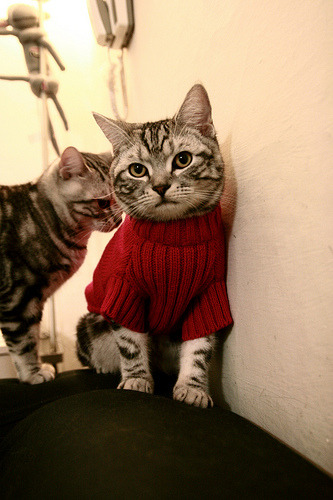 雷霆二队球员成功上调进入主力轮换名单，雷霆队2号球员是谁